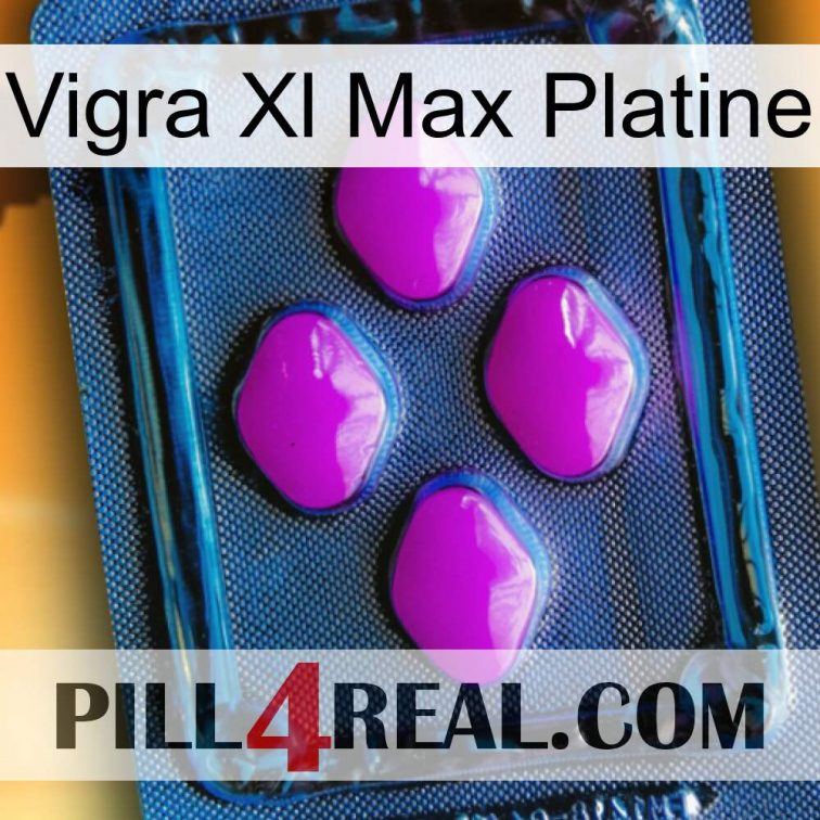 Vigra Xl Max Platinum 04